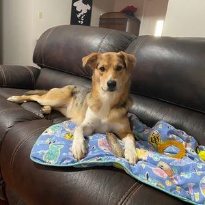 Meet your Posher, Tina